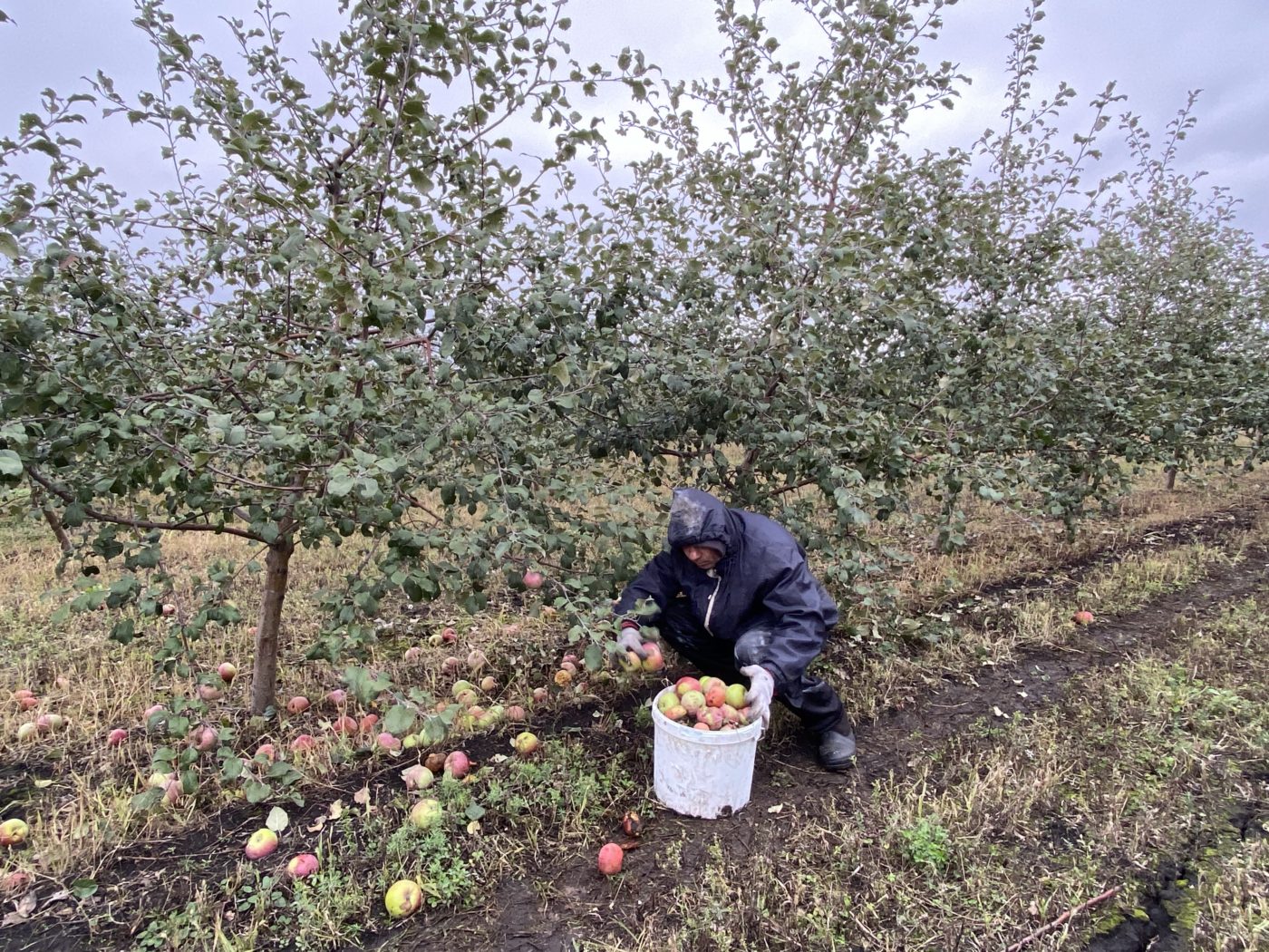 Принудительные работы в Саратовской области. Курс на развитие - Балаковские  вести