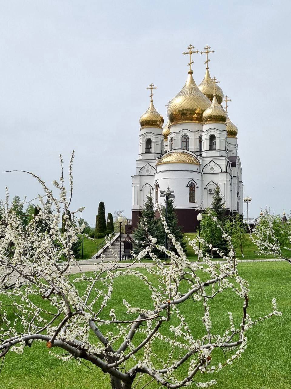 Поздравление с Пасхой Христовой спикера Государственной Думы Вячеслава  Володина - Балаковские вести