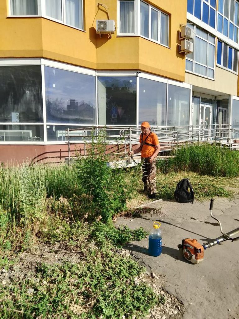 Благоустройство города Балаково ведется в ежедневном режиме | 13.06.2024 |  Балаково - БезФормата