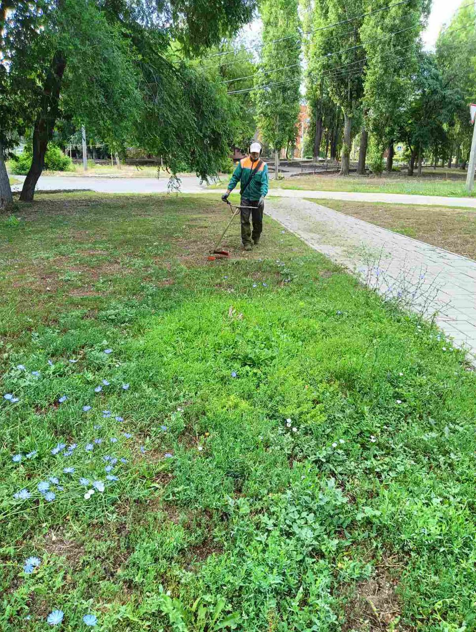 В Балакове в жаркую погоду регулярно поливают центральные дороги -  Балаковские вести